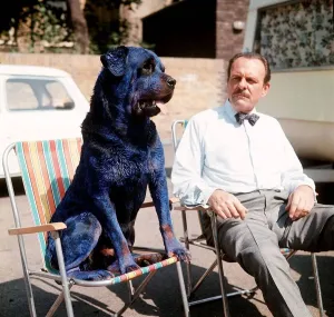 Terry Thomas with Blue Rottweiler Print (00006) from Memory Lane