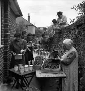 00008 Prints: WVS Canning Centre Print: Women canning fruit at Lyminge, Kent
