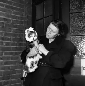 00010 Prints: Cat with Toothache Print, August 1952