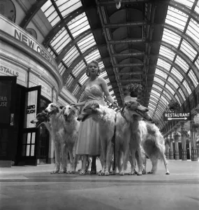 00010 Prints: Chorus Girl Print with Dogs, July 1952