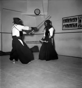 00012 Prints: The Budokwai 35th Annual Displays Print