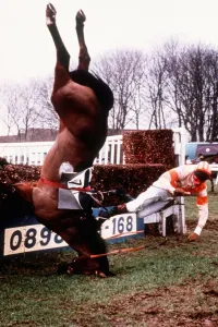 00029 Prints: Print of Jockey Andrew Hickman's Fall at Folkstone