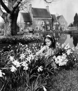 00031 Prints: Lord Bath with Daughter Print, April 1965