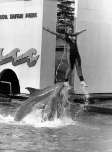 00034 Prints: Jan Farrine rescued by a dolphin in an 1987 Print