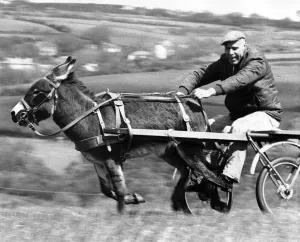 00034 Prints: Trigger and Bill Donkey Race Print, May 1979
