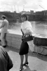 Sophia Loren Print - London Bridge Film Scene