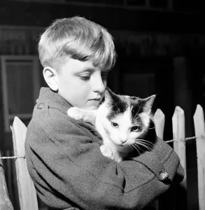 November 1953 Print of a Young Boy with His Pet Cat