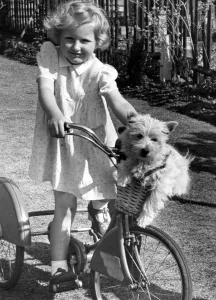 00041 Prints: 1940s Print of Girl on Bicycle with Dog