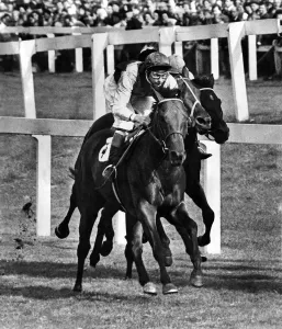 00042 Prints: Ribocco Print: 1967 St. Leger Race Winner at Doncaster