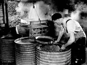 00045 Prints: Cockle Industry Print, Leigh on Sea, May 1938
