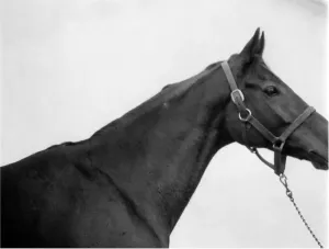 00047 Prints: Red Rum Mirror Colour Print - Grand National Winner