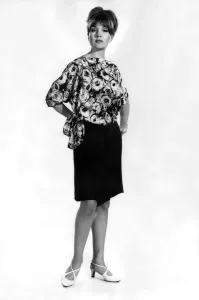 60s Fashion Trends Prints: Clothing. Fashion. Anne Powell. October 1966 P006646