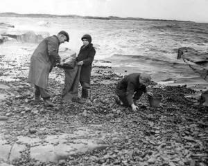 00051 Prints: Coal Harvesters on Newbiggin Beach, North East England Print