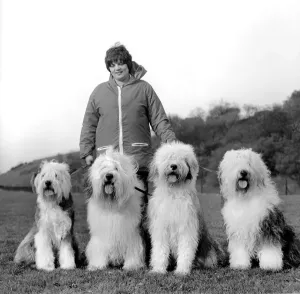 00056 Prints: Dogs on the Common Print, February 1981