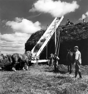00060 Prints: Haystacking in Hampshire Print, Chilbolton Clover Stack