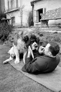 00062 Prints: Vintage 1960 St. Bernard Dog Print