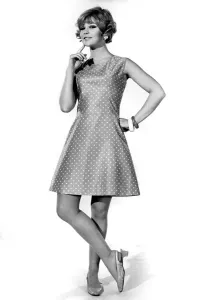 00067 Prints: Sky Blue Cotton Print, April 1968