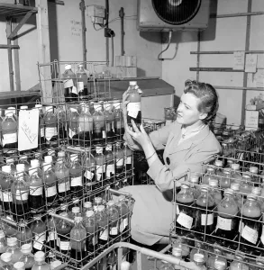 00068 Prints: Blood Bank Inspection Print, 1954