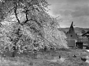 00074 Prints: Kent Countryside Oast Houses Print