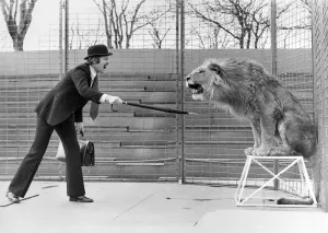 00077 Prints: Circus Animals Print: Lion Down The Law