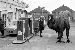 00079 Prints: Camel at the Petrol Station Print, January 1964