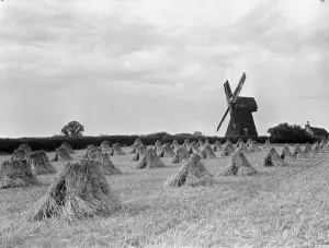 00079 Prints: The Shiremark Mill Print, August 1933