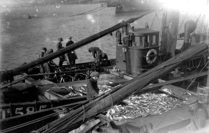 00081 Prints: Alfieri Snr Mackerel Fishing Print, 1st January 1923