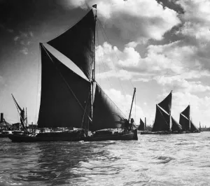 Thames Sailing Barge Print, August 1930