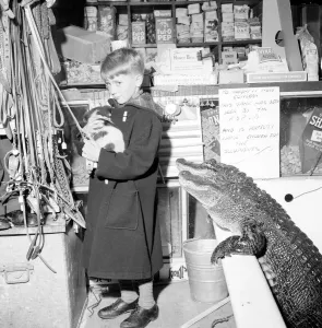 00089 Prints: Unusual Pets Eye Up Boy and Dog Print, November 1956