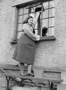 00090 Prints: A Busy Housewife Cleaning Windows Print Circa 1954