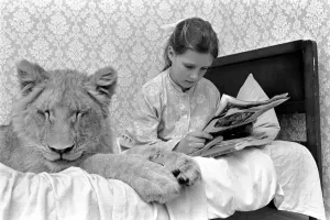 00090 Prints: Leonie the Lioness: A 1972 Print of Family Affection