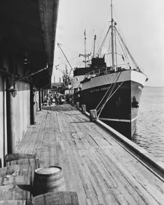 00094 Prints: The Motor Vessel British Coast Print 28th November 1953