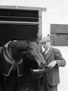 00096 Prints: A day in the life of Arkle Print, 21st November 1965