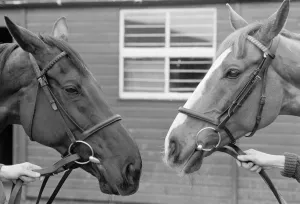 00096 Prints: Grand National favourites Burrough Hill Lad and Corbiere in print