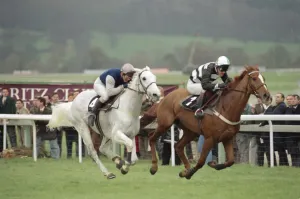 00096 Prints: Print of Jockey Richard Dunwoody on Desert Orchid racing to the finish