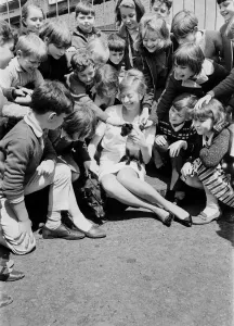 00097 Prints: Blue Peter Editor with Pets Print May 1966