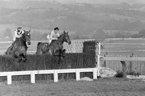 00097 Prints: Arkle Leads Mill House over Last Fence, Cheltenham Gold Cup 1965 Print