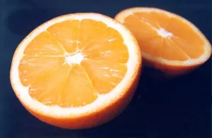An Orange Print by Memory Lane Prints (00101)