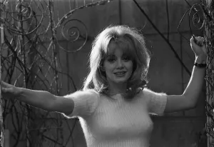 Retro Clothing Trends Prints: Actress Elaine Taylor 1969