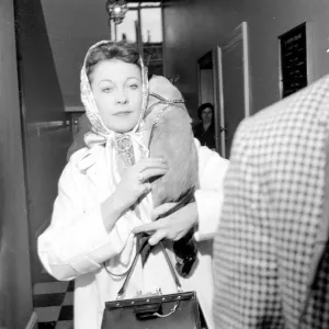 Vivien Leigh with Cat Print - London 1960