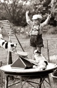 Vintage Animal Photos Prints: Playground for Dogs A young boy watches two dogs on a see saw