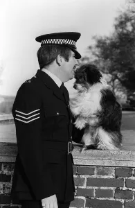 Vintage Animal Photos Prints: Pippin the 4 year old crossbred dog with Sergeant Dick Smith