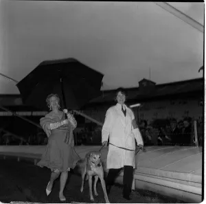 Entertainment In The 1960s Prints: Liz Fraser actress with greyhound May 1962 in aid of the Variety club of