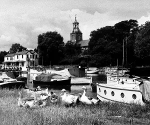 Prints of Sunbury on Thames Middlesex circa 1955 Middlesex Prints: Sunbury on Thames Middlesex Print circa 1955