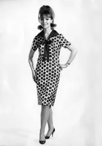 Fashion In The 60s Prints: Reveille Fashions: Ann Roberts. May 1964 P006821