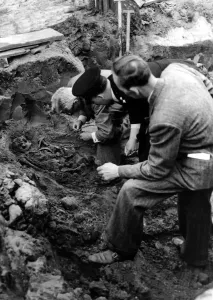 00500 Prints: Dr G E Stephenson Examines Ancient Skeletons Print 1952