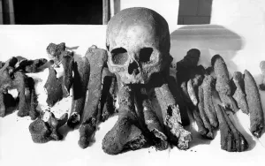 00500 Prints: Durham Market Place Skulls and Bones Print 1976