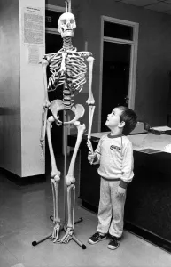 00500 Prints: 1985 Print: Child Holding Hands with Skeleton