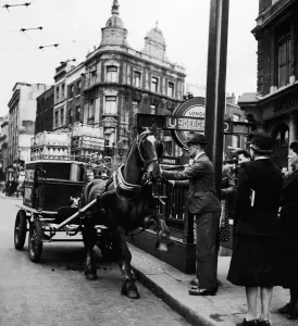 London Underground History Prints: Milk Cart, restive horse in Shafts, taken in Holborn June 1946