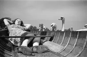 London River Thames Scene Prints: Swans looking at a woman asleep in a boat, on the River Thames, London, Circa 1946